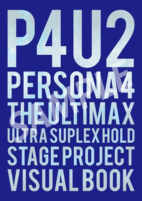 P4U2 Official Visual Book